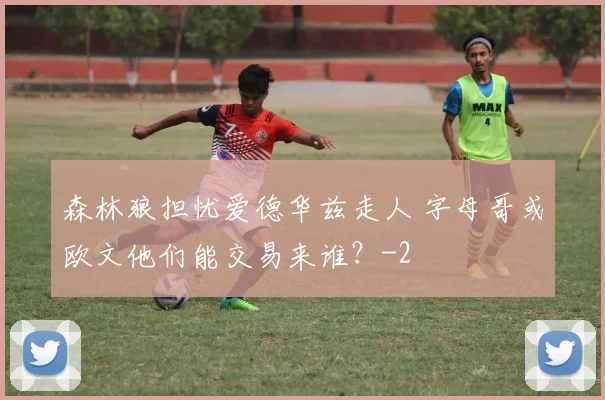 森林狼担忧爱德华兹走人 字母哥或欧文他们能交易来谁?