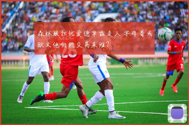 森林狼担忧爱德华兹走人 字母哥或欧文他们能交易来谁？